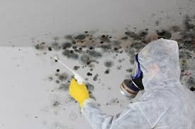 Trusted West Covina, CA Mold Removal & Remediation Experts